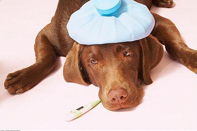 《生化危机4：重制版》新细节：艾达王将扮演重要角色